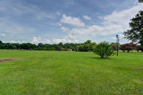 A home in Chapin