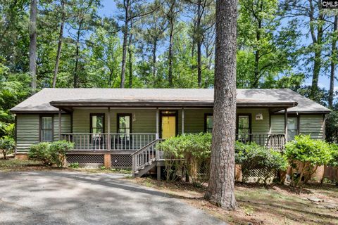 Photo of 1608 Shortstream Road, Columbia, SC 29212 (MLS # 634139)