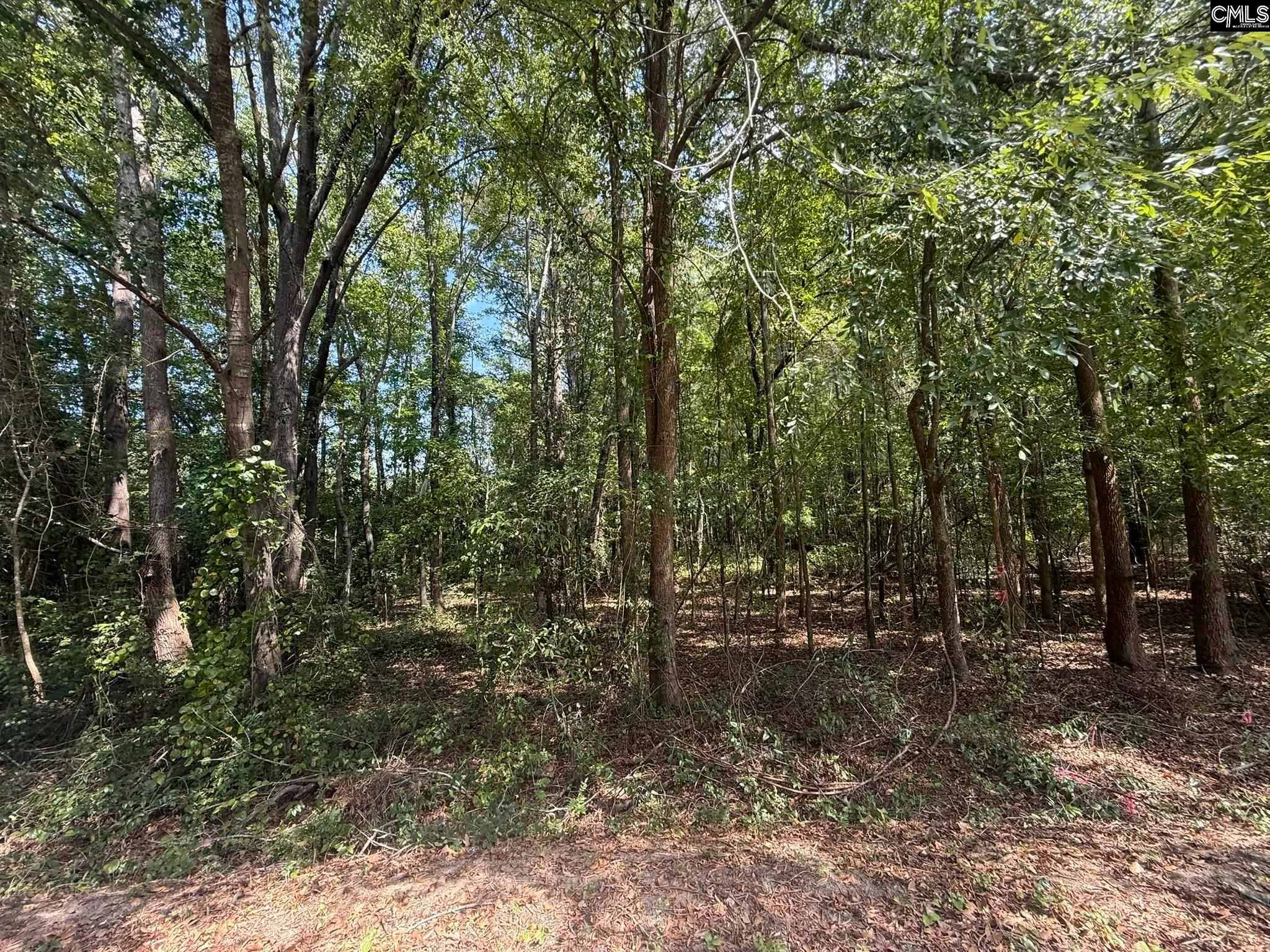 3938 Timrod Road, Bethune, SC, 29009