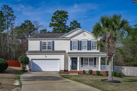 Photo of 145 Greycoat Court, Lexington, SC 29073 (MLS # 628432)