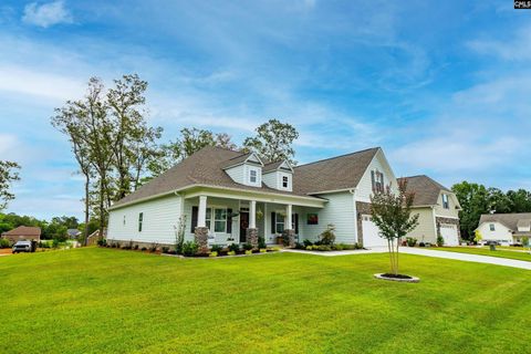 A home in Chapin