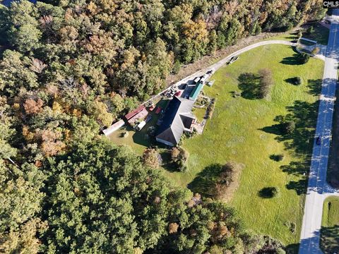 Photo of 3330 Dreher Shoals Road, Irmo, SC 29063 (MLS # 621024)