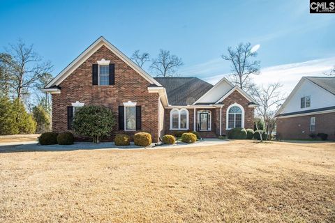 Photo of 212 Night Harbor Drive, Chapin, SC 29036 (MLS # 634873)
