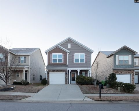 A home in Chapin