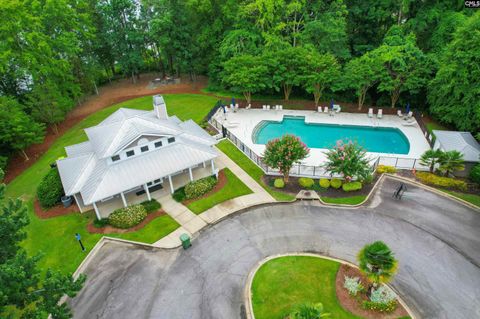 A home in Chapin