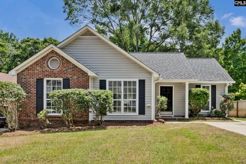 Photo of 12 Gidding Court, Irmo, SC 29063 (MLS # 637422)