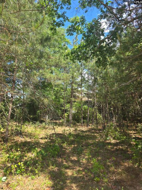 Photo of 13824 Newberry Road, Blair, SC 29015 (MLS # 631877)