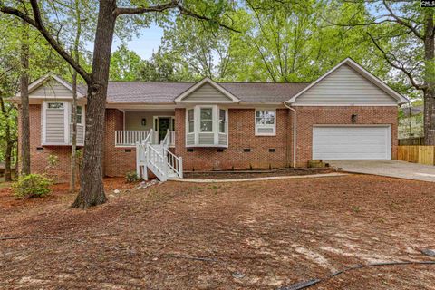 A home in Chapin