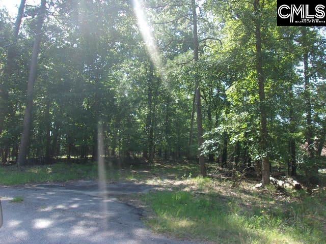 216 Rebecca Drive, Leesville, SC, 29070