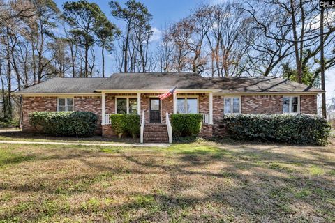 Photo of 103 Merry Drive, Lexington, SC 29072 (MLS # 628535)