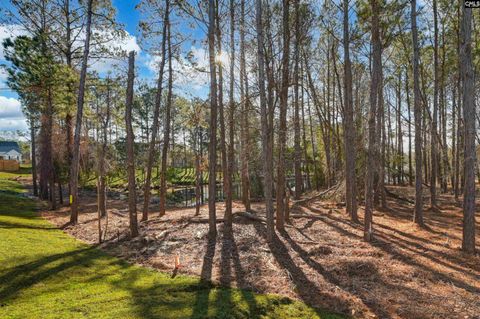 A home in Blythewood