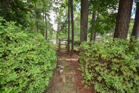 A home in Chapin