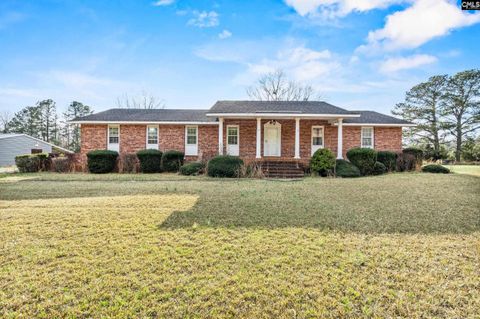 Photo of 161 Circle H Woods Road, Prosperity, SC 29127 (MLS # 628404)