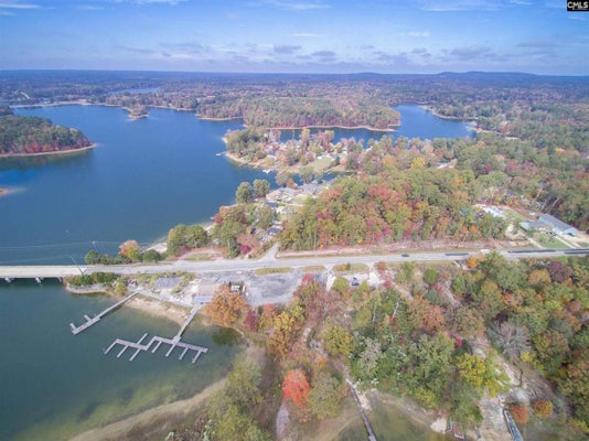 0 DREHER ISLAND ROAD, CHAPIN, SC 29036 - Image 61af5e41cedad7350e9f98a60fa6dc4e/1293535405