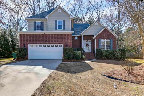 Photo of 108 Moontide Court, Lexington, SC 29072 (MLS # 626858)