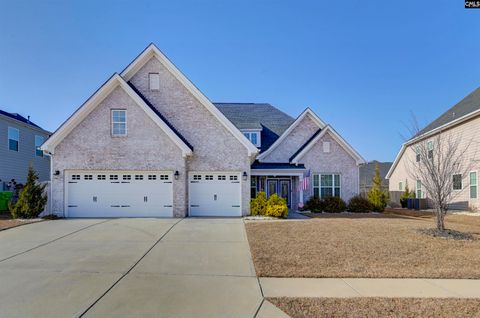 A home in Chapin