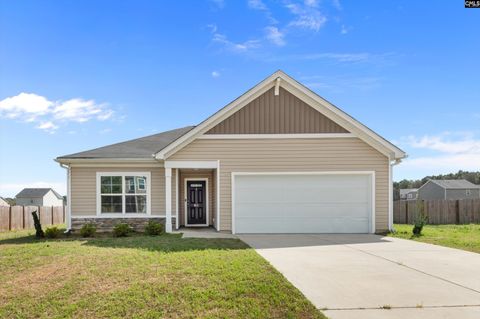 Photo of 811 Nilo Farms Way, Gaston, SC 29053 (MLS # 628853)