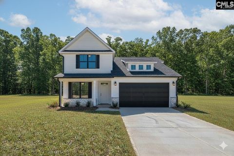 Photo of 246 Backspin Drive, Elgin, SC 29045 (MLS # 621268)