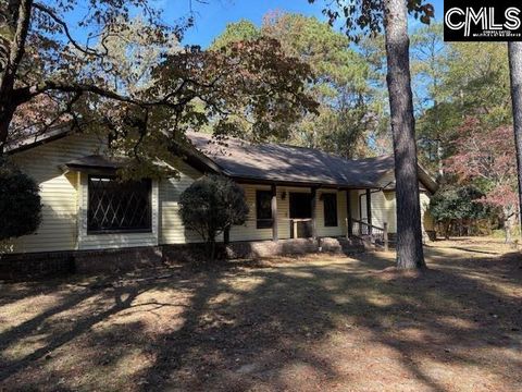 Photo of 40 Retriever Creek Lane, St. Matthews, SC 29135 (MLS # 623191)