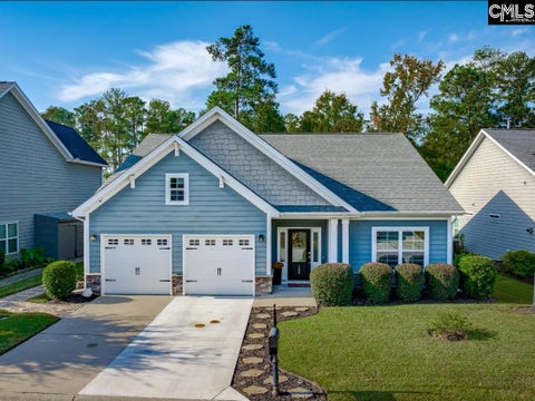 Photo of 126 Azur Avenue, Chapin, SC 29036 (MLS # 645982)