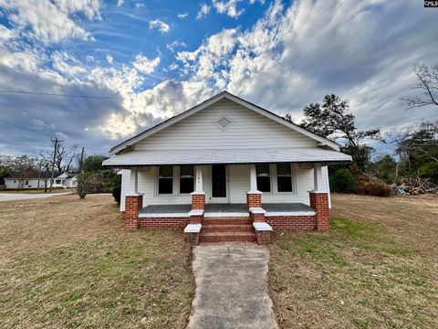Photo of 141 S Peachtree Street, Batesburg, SC 29006 (MLS # 624679)