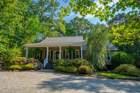 Photo of 106 Oak Brook Drive, Chapin, SC 29036 (MLS # 618513)