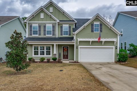 Photo of 822 Ruskin Drive, Chapin, SC 29036 (MLS # 623565)