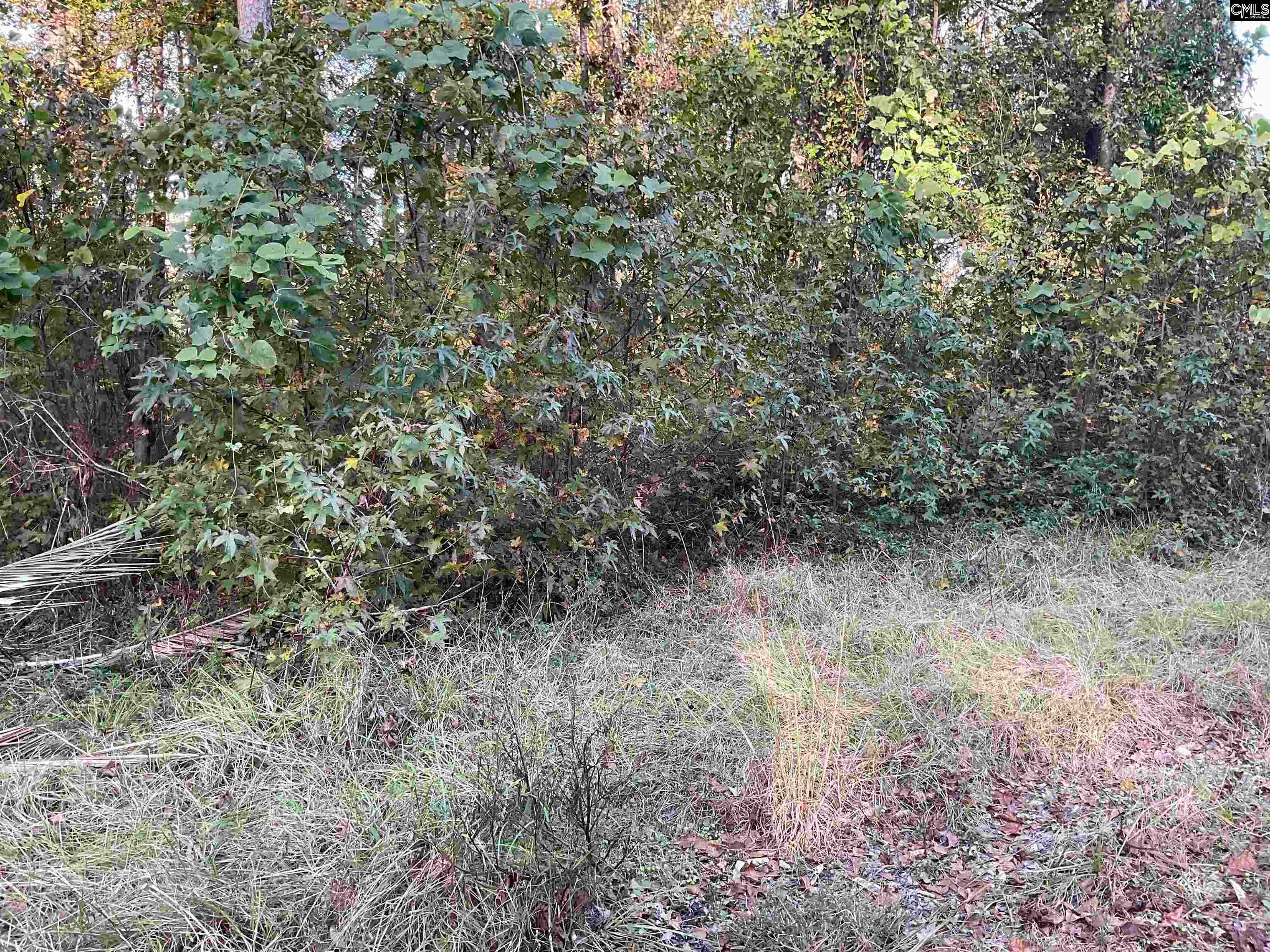 3551 Moonlight Road, Barnwell, SC, 29853
