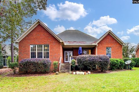 A home in Chapin