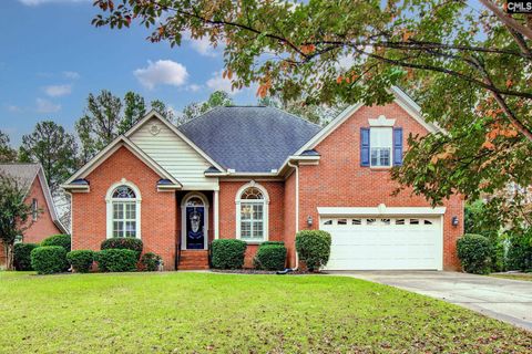 A home in Chapin