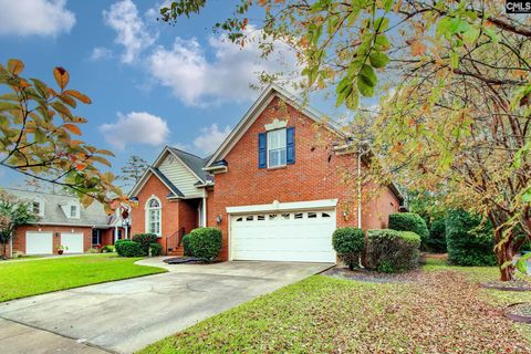 A home in Chapin