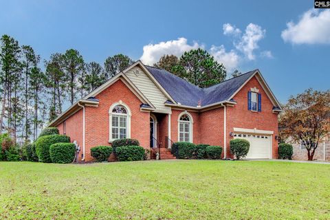 A home in Chapin