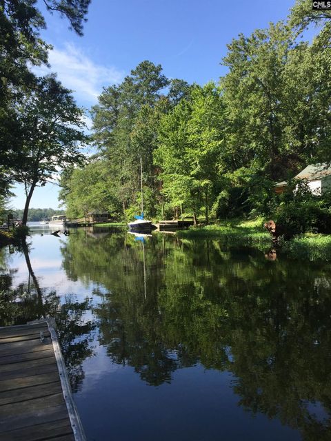 Photo of 1008 Jones Road, Irmo, SC 29063 (MLS # 631284)