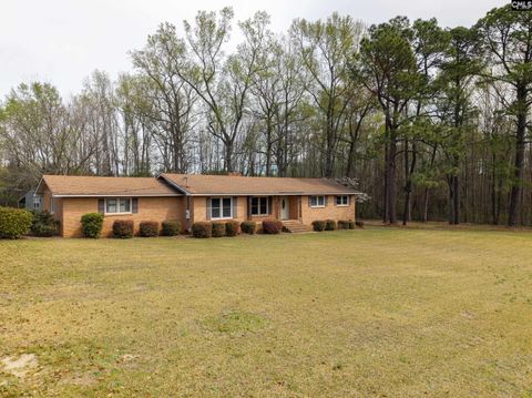 Photo of 4211 Middendorf Road, Hartsville, SC 29550 (MLS # 630153)