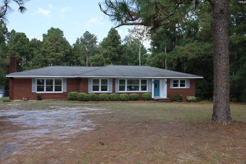 Photo of 7126 Two Notch Road, Batesburg, SC 29006 (MLS # 618029)
