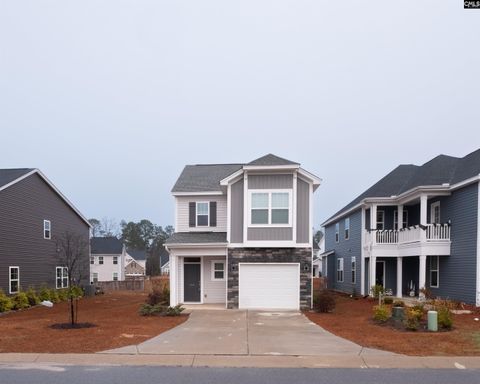 A home in Chapin