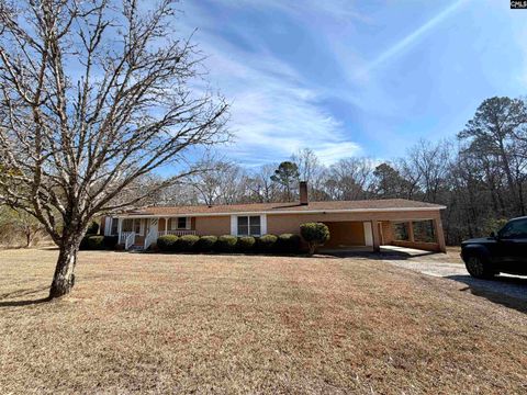 Photo of 301 Amicks ferry Road, Chapin, SC 29036 (MLS # 633568)