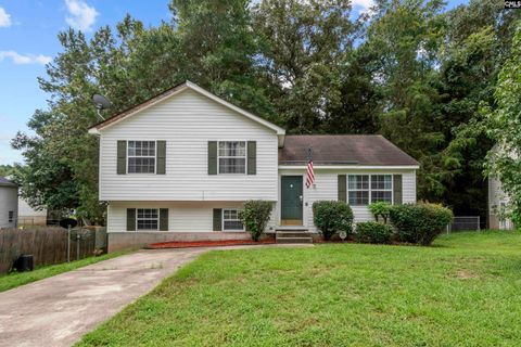 A home in Irmo