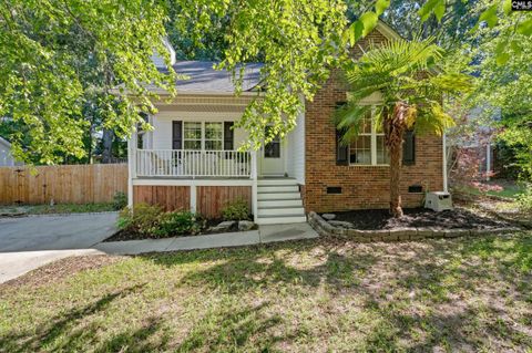 Photo of 209 Caddis Creek Crossroad, Irmo, SC 29063 (MLS # 634319)