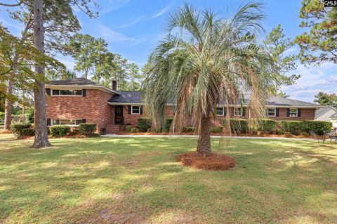 Photo of 6801 Patricia Drive, Columbia, SC 29209 (MLS # 629131)