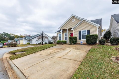 A home in Chapin