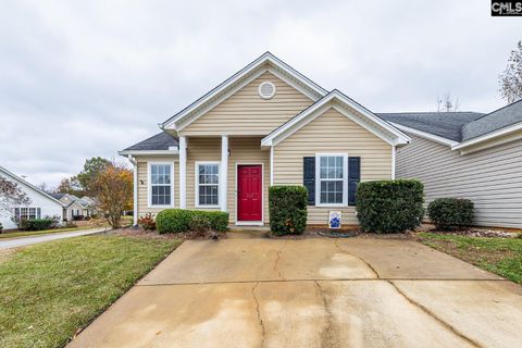 A home in Chapin