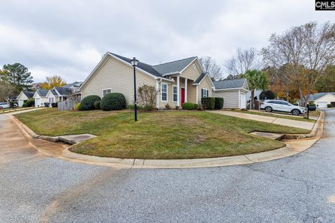 A home in Chapin