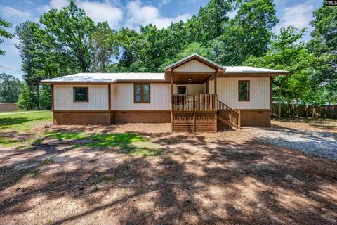 Photo of 3408 Wessinger Road, Chapin, SC 29036 (MLS # 622151)
