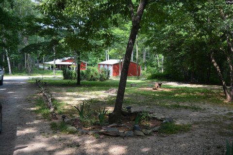 A home in Chapin