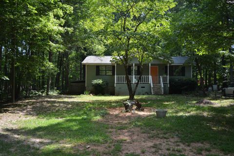 A home in Chapin