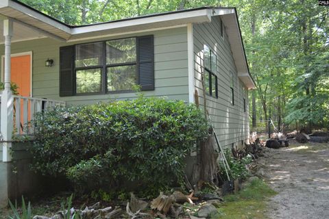 A home in Chapin