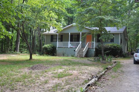 A home in Chapin