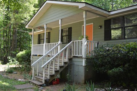 A home in Chapin