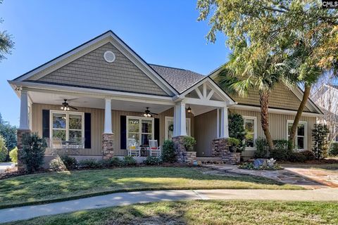 Photo of 116 Vista Springs Avenue, Lexington, SC 29072 (MLS # 620252)